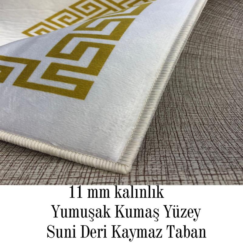 Evperest%20Yolluk%20/%20Sarkıt%20Model